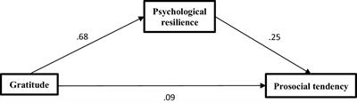 Gratitude predicts prosocial tendency through psychological resilience—cross-sectional study in Arab cultures